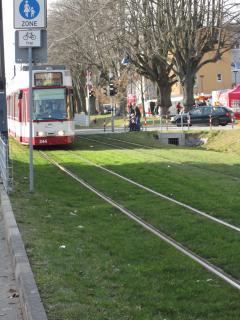 Strassenbahn Linie 3 auf Gras