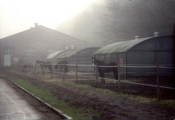 Nebel beim Pferdestell (Süden)